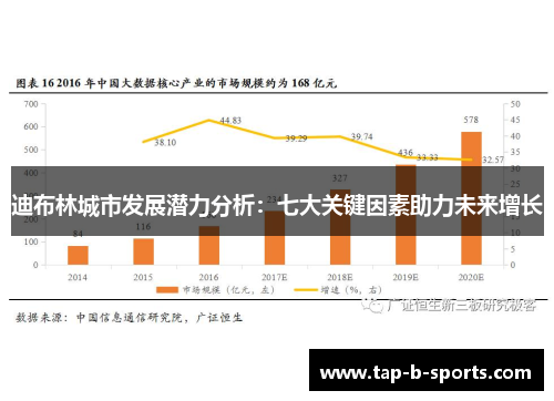 迪布林城市发展潜力分析：七大关键因素助力未来增长